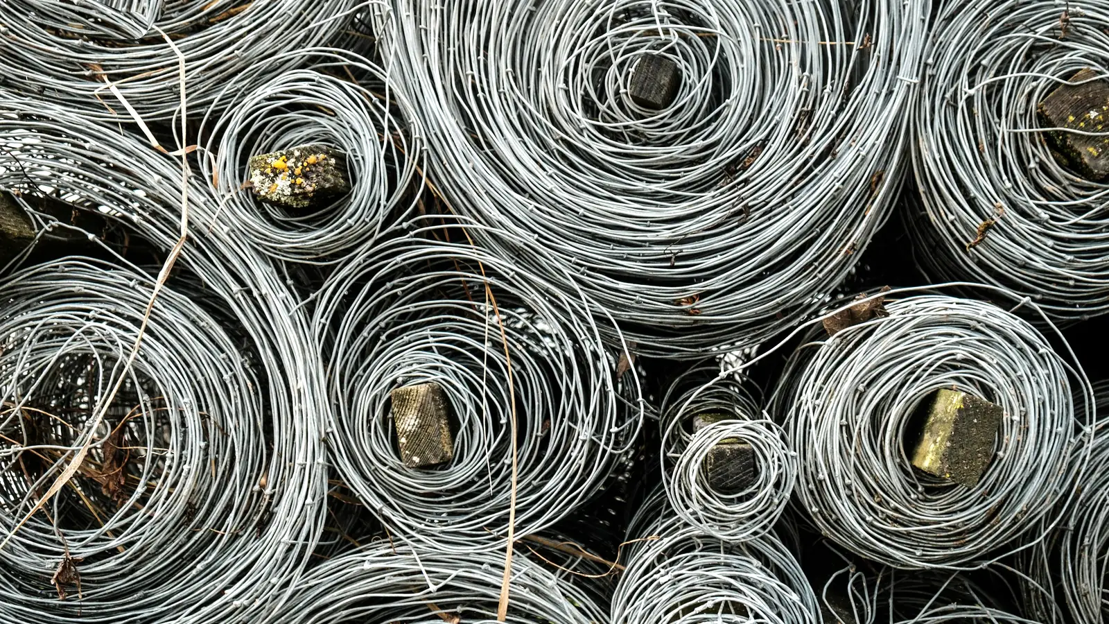 Aufgerollte Drahtringe aus verzinktem Stahl, dicht nebeneinander